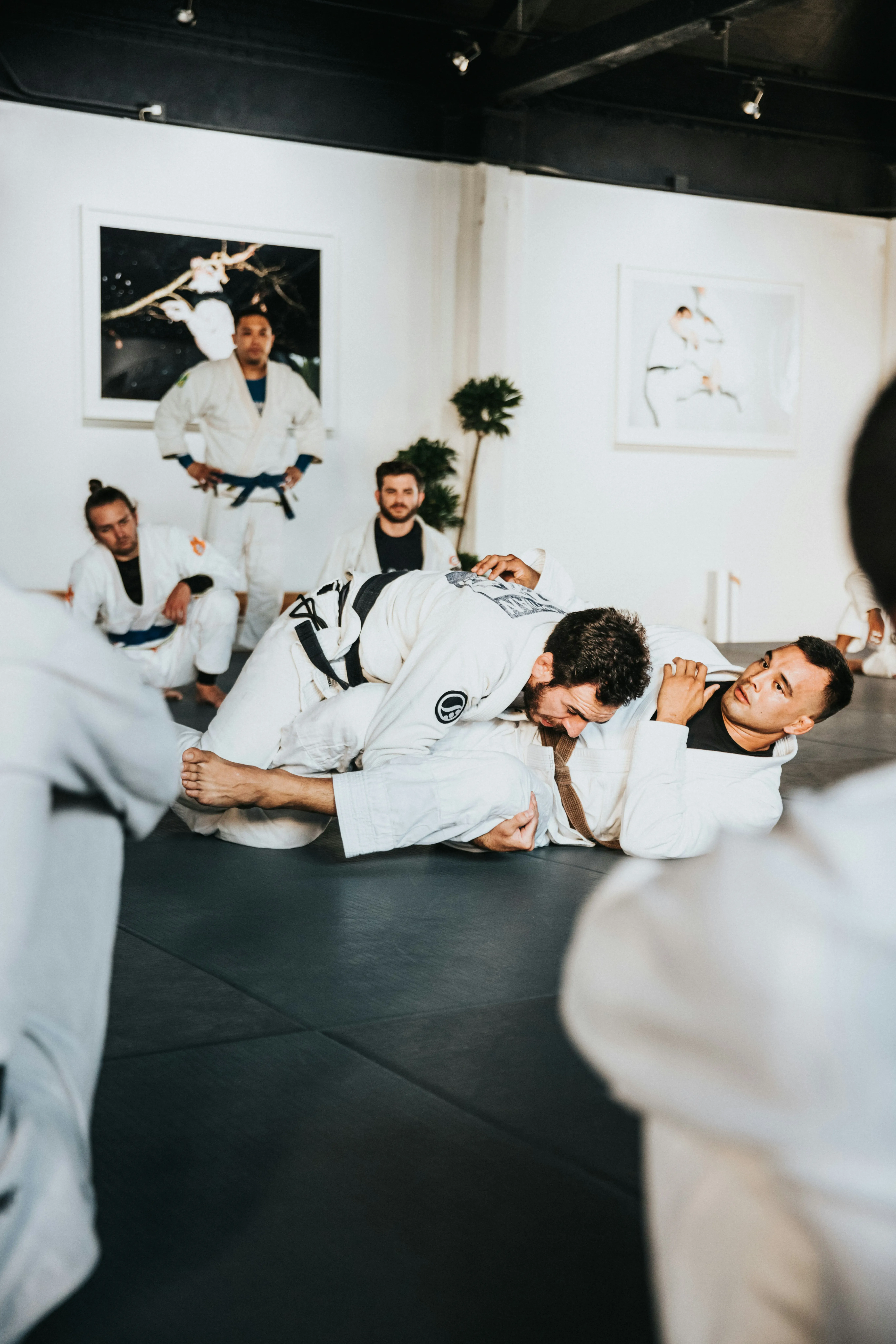People sharing training reps together